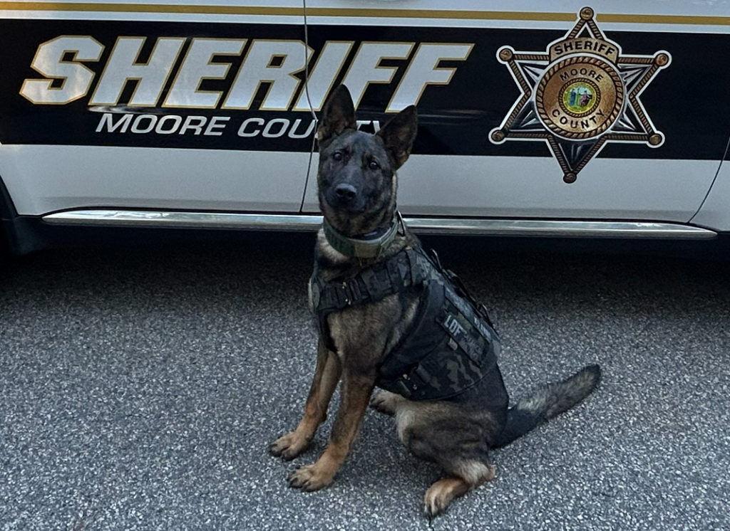 Moore Sheriff K9 Anna