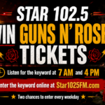 Paradise City Password