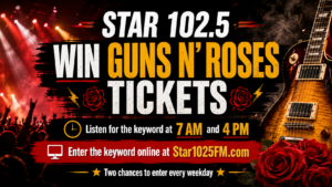 Paradise City Password