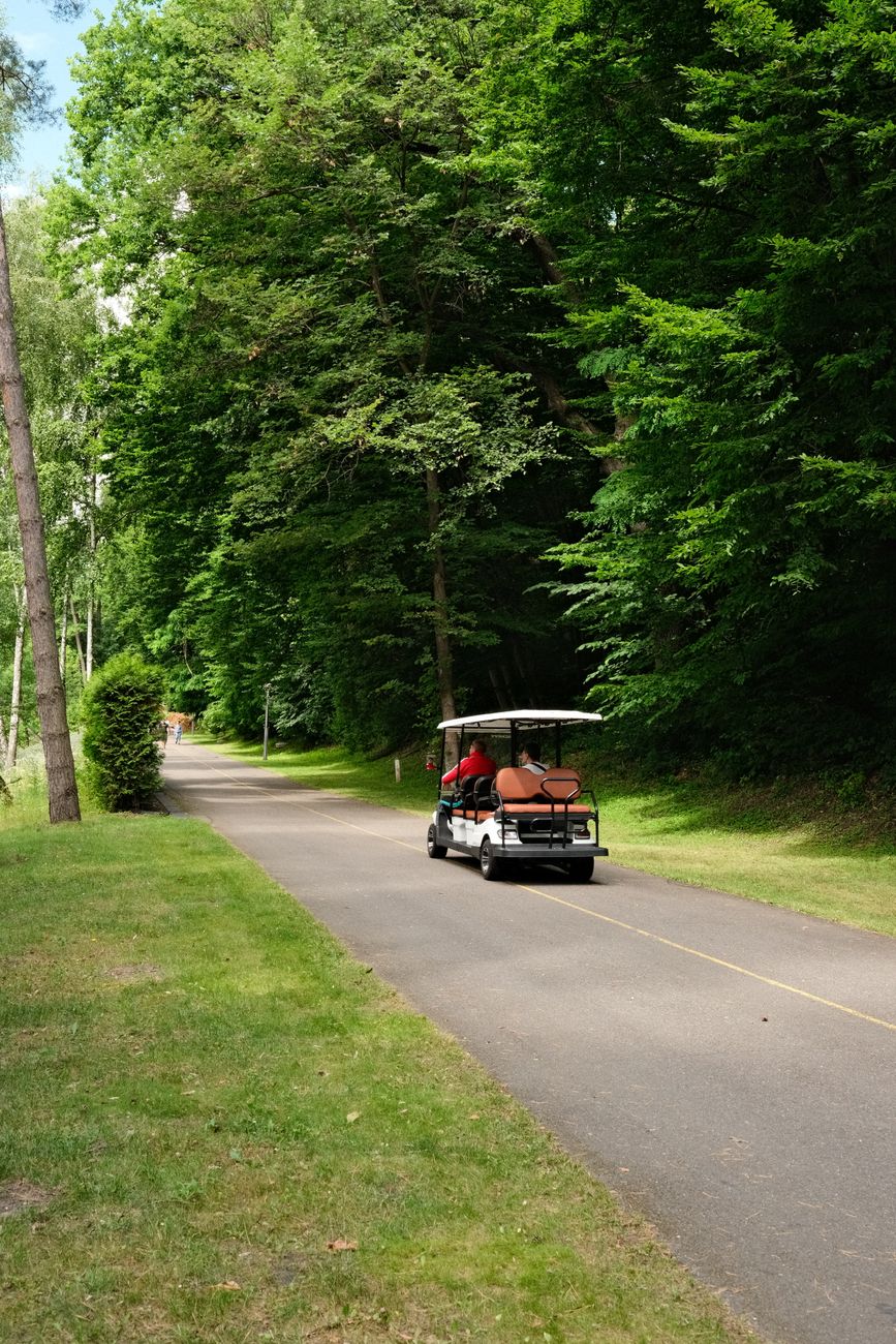 golf cart driving through a lush forest path